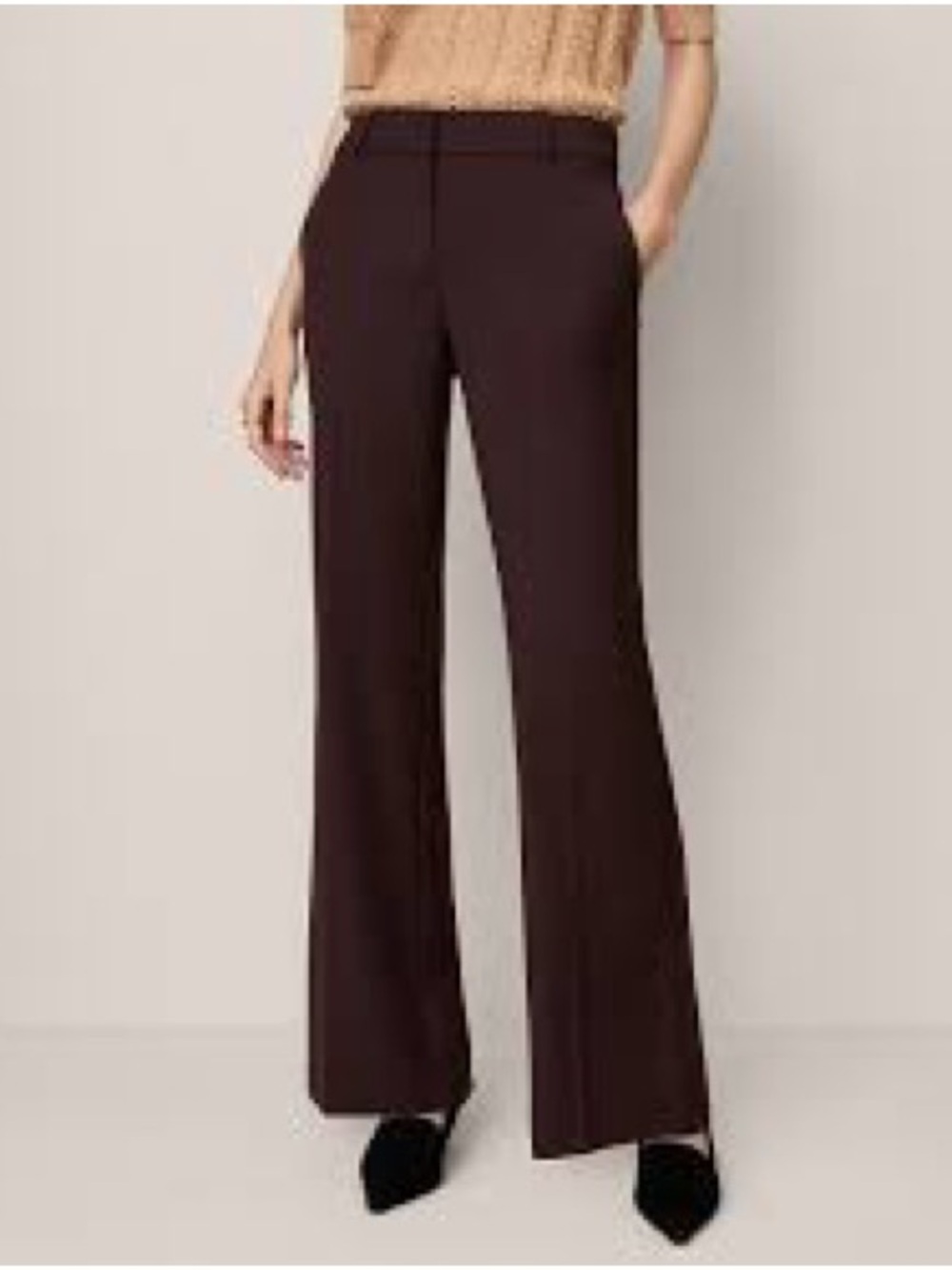 Classic Ann Taylor Loft Kate Pants - Brown